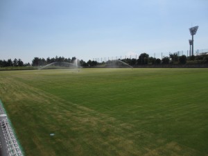 IMG_1353