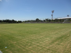 IMG_1425