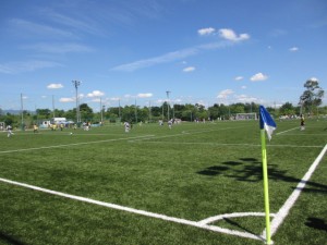 IMG_1428