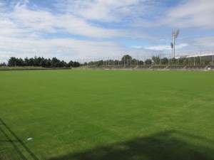 IMG_1604