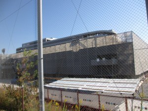 IMG_2070