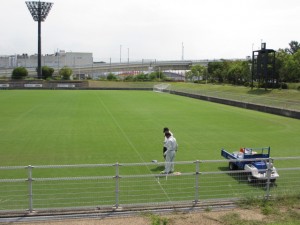 IMG_7156