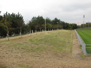 IMG_7597