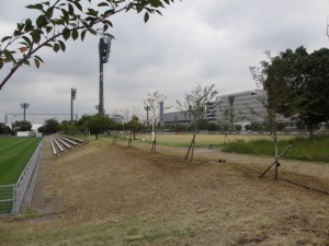 IMG_7598