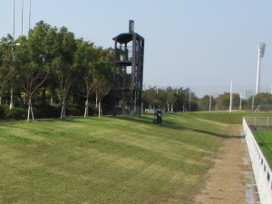 IMG_9018