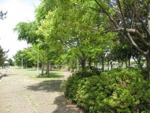 IMG_8468