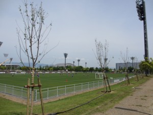 IMG_8501