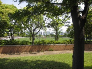IMG_8505