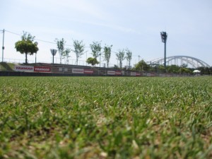 IMG_8506