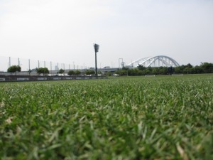 IMG_9351