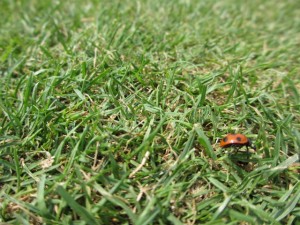 IMG_9355