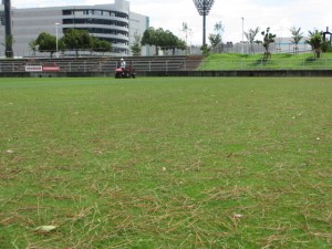 IMG_0786
