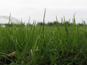 IMG_2157