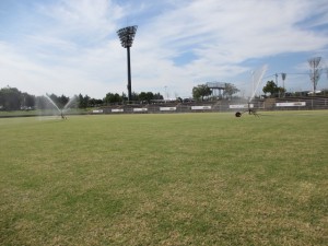 IMG_2554