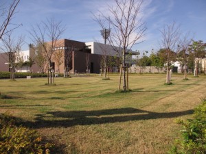 IMG_2696