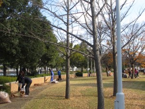 IMG_0327