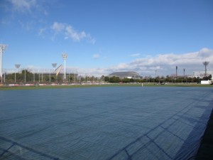 IMG_0356