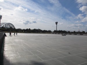 IMG_3910