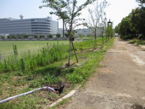 IMG_8881
