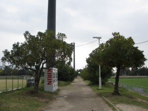 IMG_8883