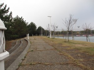 IMG_8886