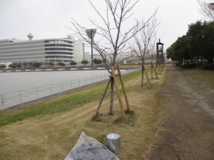 IMG_8890
