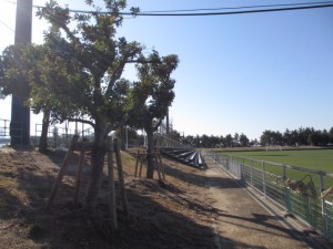 IMG_9232