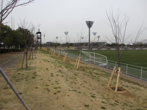 IMG_9593