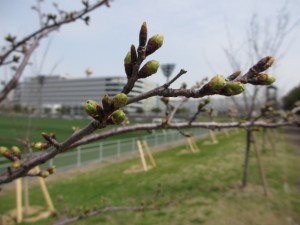 IMG_0044