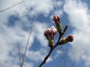 IMG_0202