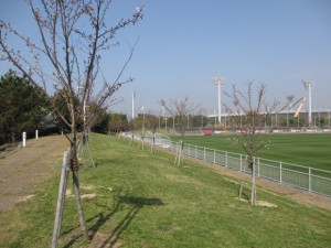 IMG_0380