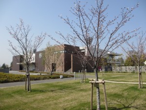 IMG_0386
