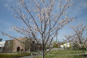 COSC_15-04-04_021