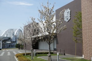 COSC_15-04-04_041