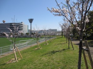 IMG_0477