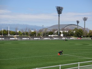 IMG_0478