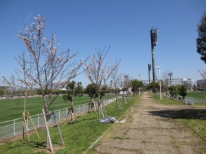 IMG_0481