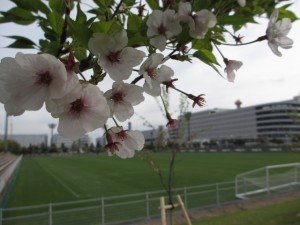 IMG_0575
