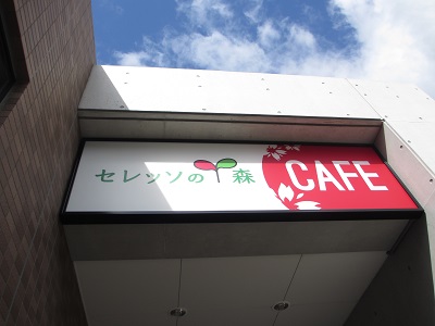 セレッソの森cafe 営業日について 9月21日 9月30日 セレッソ大阪スポーツクラブ公式サイト