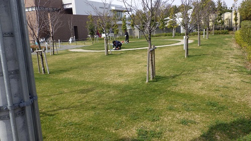写真①