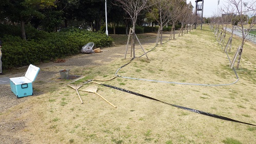 写真⑥