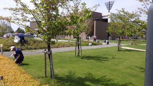 写真①
