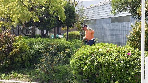 写真⑤