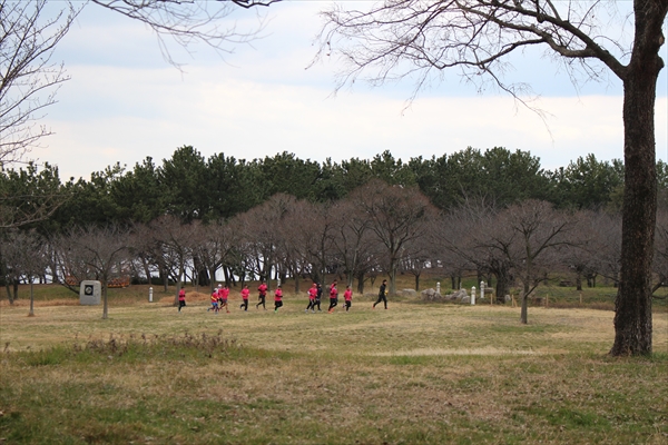IMG_9016_R