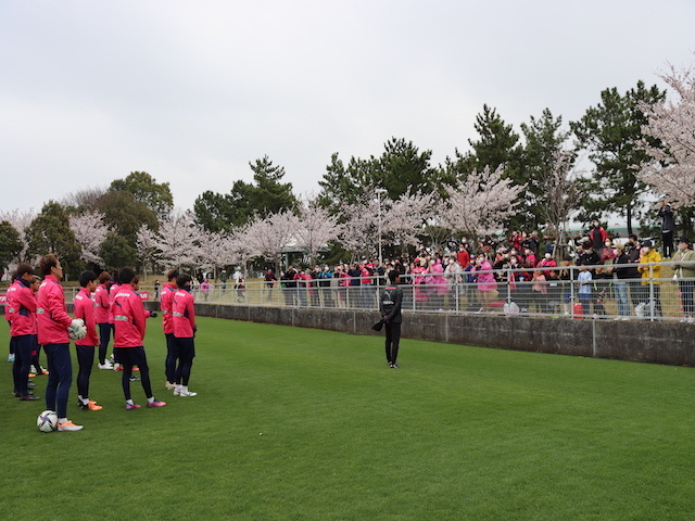 【セレッソの森　桜祭り！】～春だ！桜だ！お花見だ！2023～イベント開催のお知らせ
