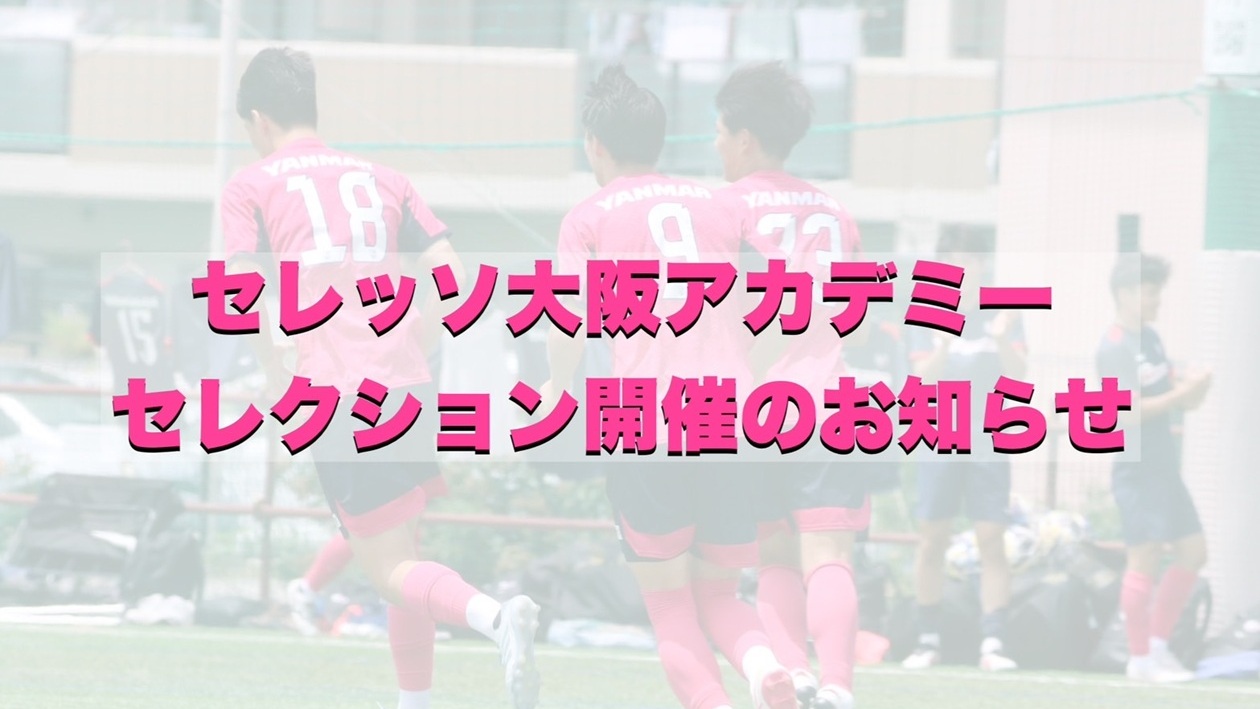 セレクション詳細はこちら🌸
