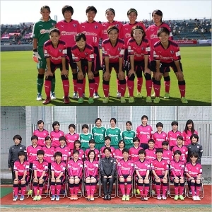 続 セレッソ・アイデンティティ｜第20回：12月は入替戦！
