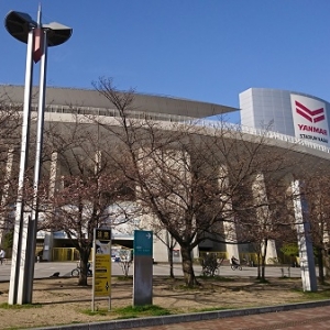 マイセレ桜開花情報｜3月23日：スタジアム周辺の桜が咲き始めました！