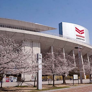 マイセレ桜開花情報｜3月28日：今日の長居公園