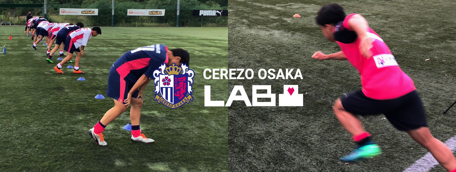 CEREZO OSAKA LAB